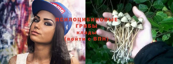 марки nbome Инсар