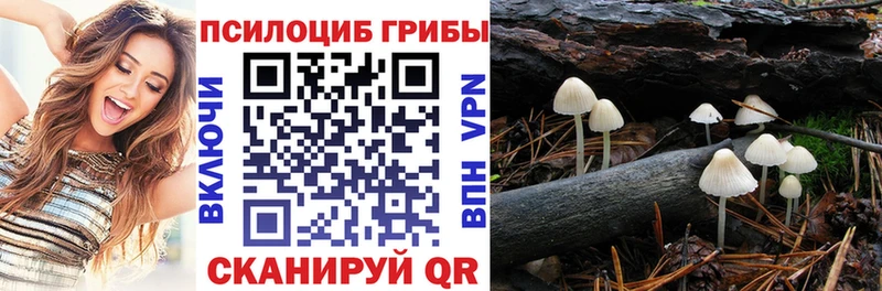 Галлюциногенные грибы GOLDEN TEACHER  Алейск 